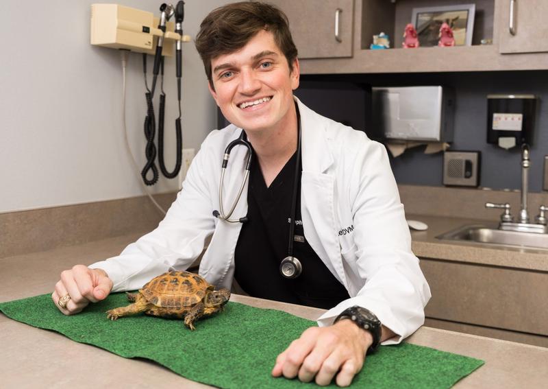 Carousel Slide 9: Reptile & Amphibian Care